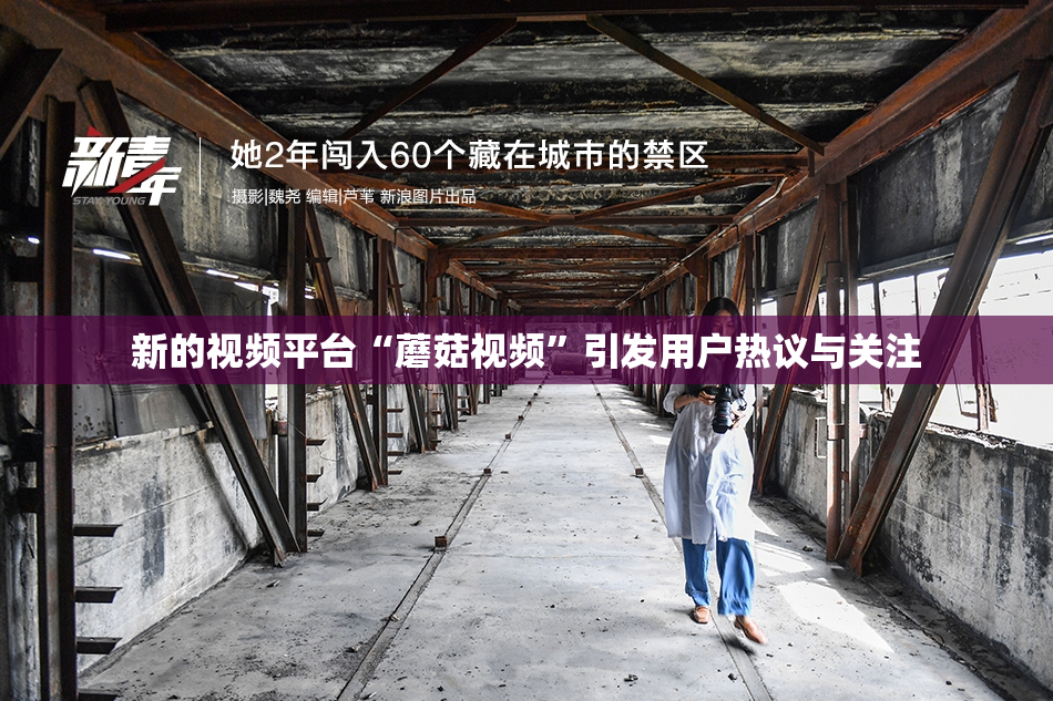 新的视频平台“蘑菇视频”引发用户热议与关注