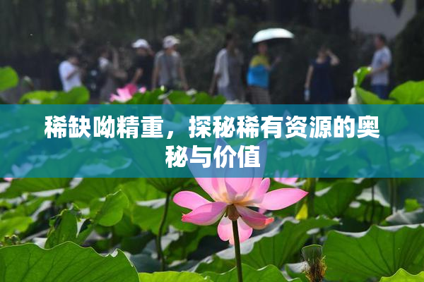 稀缺呦精重，探秘稀有资源的奥秘与价值