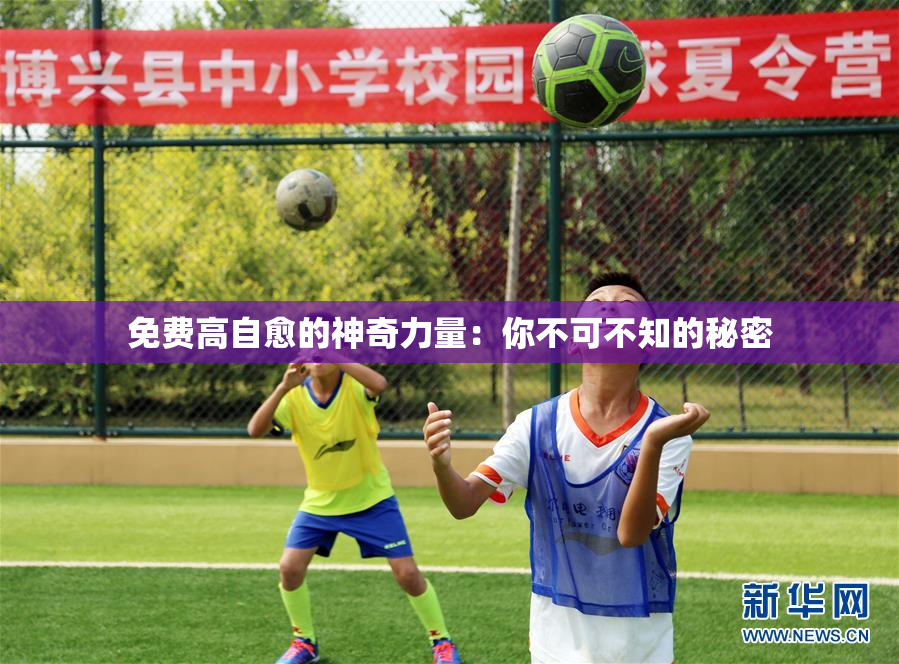 免费高自愈的神奇力量：你不可不知的秘密
