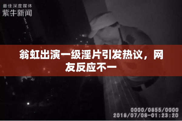 翁虹出演一级淫片引发热议，网友反应不一