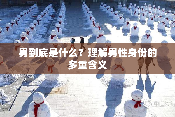 男到底是什么？理解男性身份的多重含义