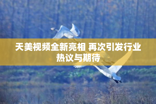 天美视频全新亮相 再次引发行业热议与期待