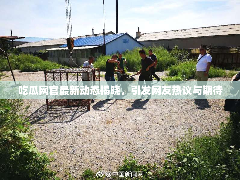 吃瓜网官最新动态揭晓，引发网友热议与期待
