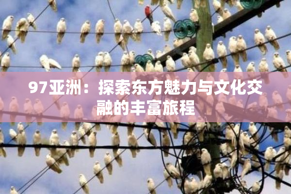 97亚洲：探索东方魅力与文化交融的丰富旅程