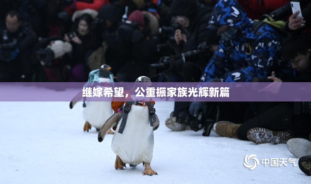 继嫁希望，公重振家族光辉新篇