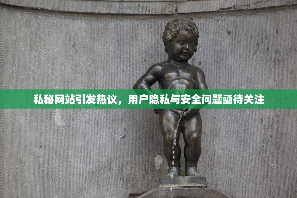 私秘网站引发热议，用户隐私与安全问题亟待关注