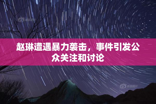 赵琳遭遇暴力袭击，事件引发公众关注和讨论