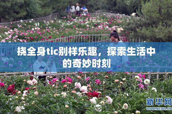 挠全身tic别样乐趣，探索生活中的奇妙时刻