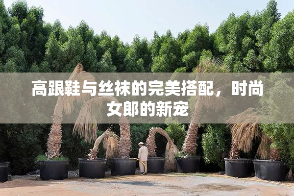 高跟鞋与丝袜的完美搭配，时尚女郎的新宠