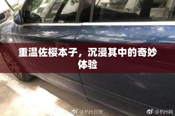 重温佐樱本子，沉浸其中的奇妙体验
