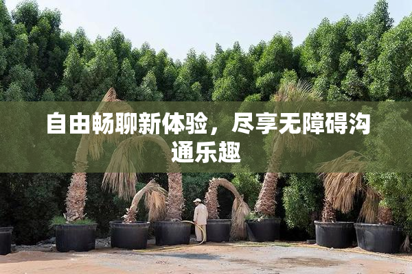自由畅聊新体验，尽享无障碍沟通乐趣