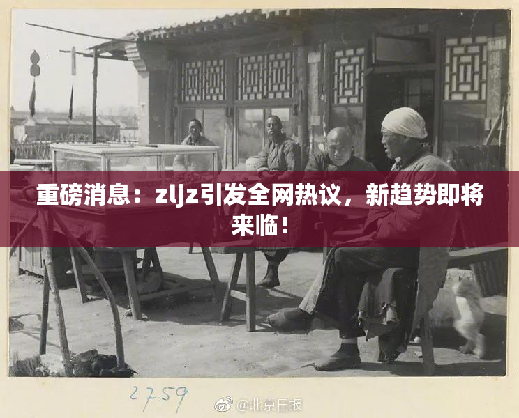 重磅消息：zljz引发全网热议，新趋势即将来临！