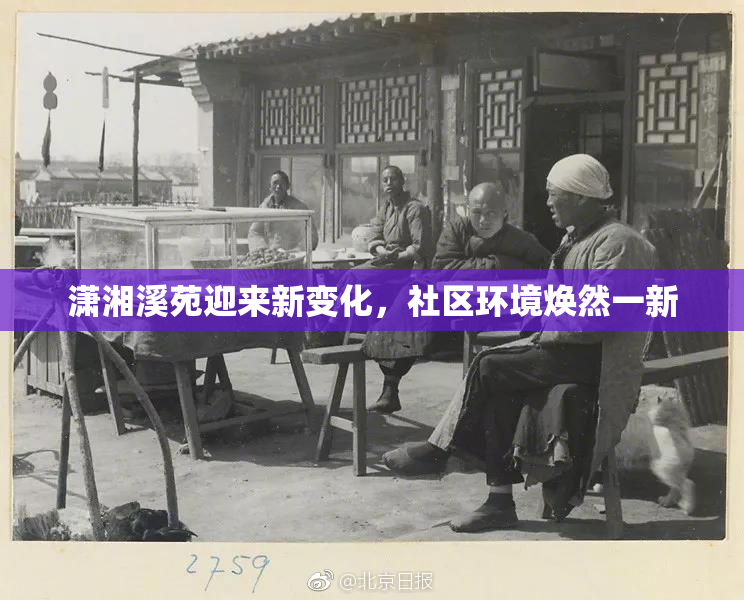 潇湘溪苑迎来新变化，社区环境焕然一新