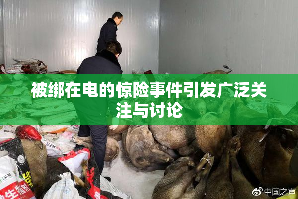 被绑在电的惊险事件引发广泛关注与讨论