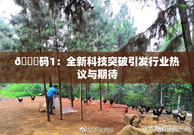 🈚码1：全新科技突破引发行业热议与期待