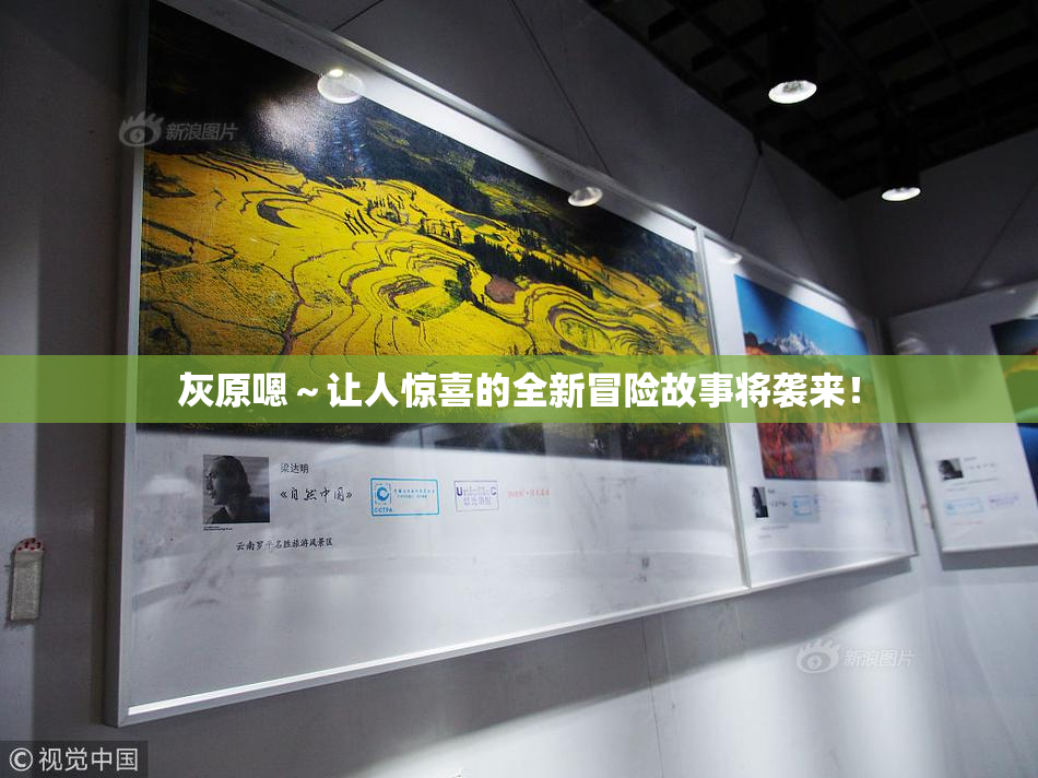灰原嗯～让人惊喜的全新冒险故事将袭来！