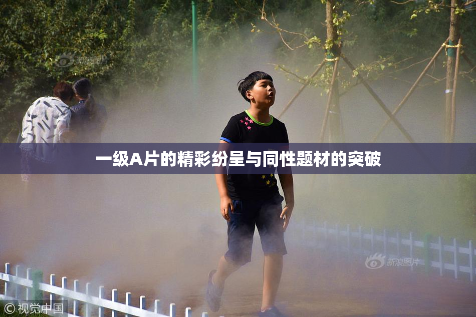 一级A片的精彩纷呈与同性题材的突破