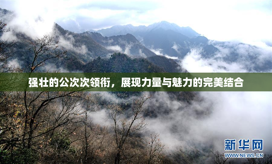 强壮的公次次领衔，展现力量与魅力的完美结合