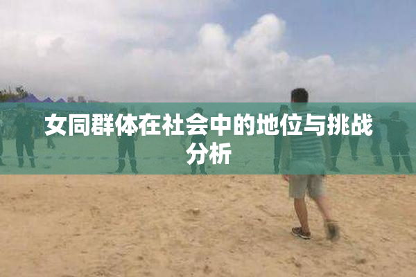 女同群体在社会中的地位与挑战分析