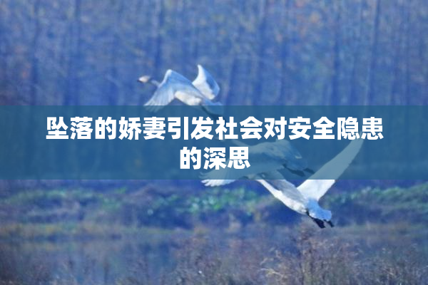 坠落的娇妻引发社会对安全隐患的深思