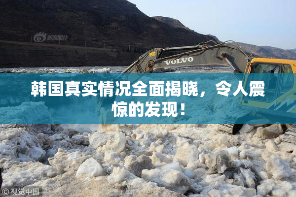 韩国真实情况全面揭晓，令人震惊的发现！