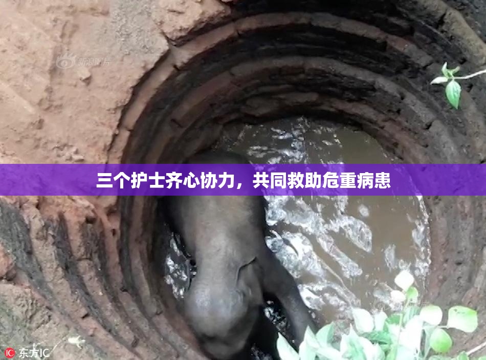 三个护士齐心协力，共同救助危重病患