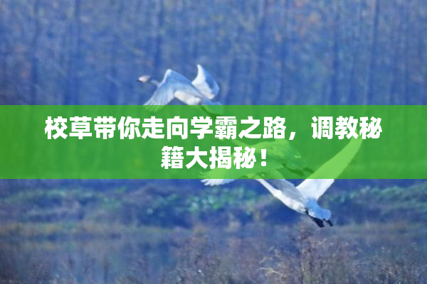 校草带你走向学霸之路，调教秘籍大揭秘！