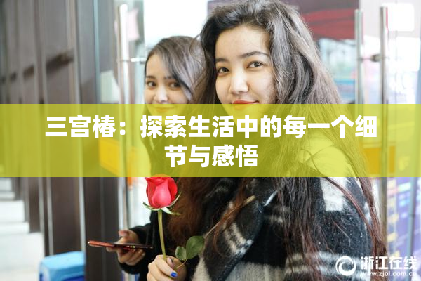 三宫椿：探索生活中的每一个细节与感悟