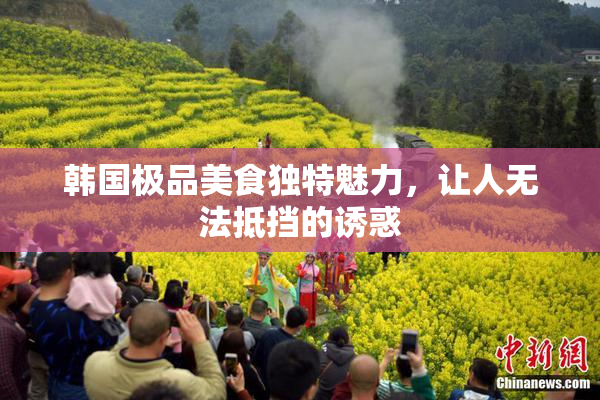 韩国极品美食独特魅力，让人无法抵挡的诱惑