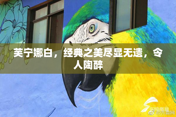 芙宁娜白，经典之美尽显无遗，令人陶醉