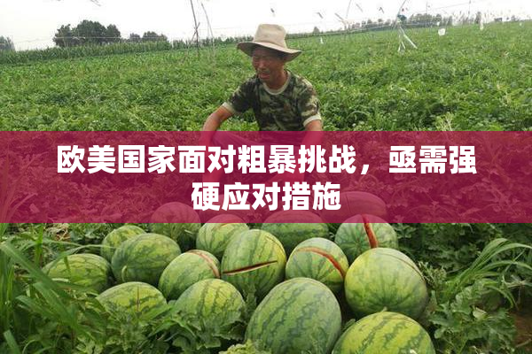 欧美国家面对粗暴挑战，亟需强硬应对措施