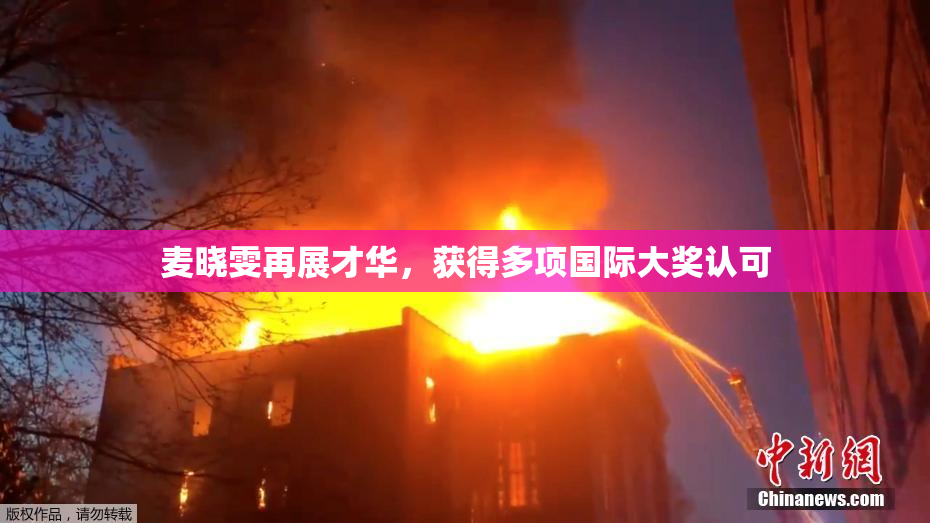 麦晓雯再展才华，获得多项国际大奖认可