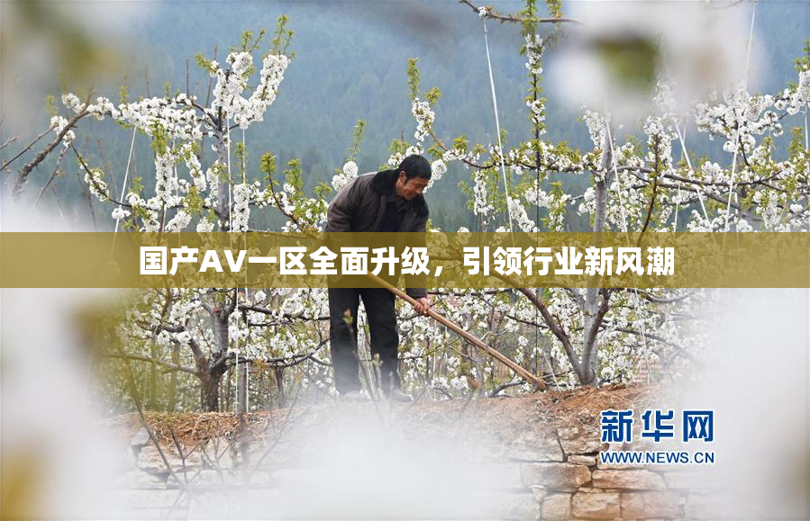 国产AV一区全面升级，引领行业新风潮