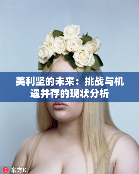 美利坚的未来：挑战与机遇并存的现状分析