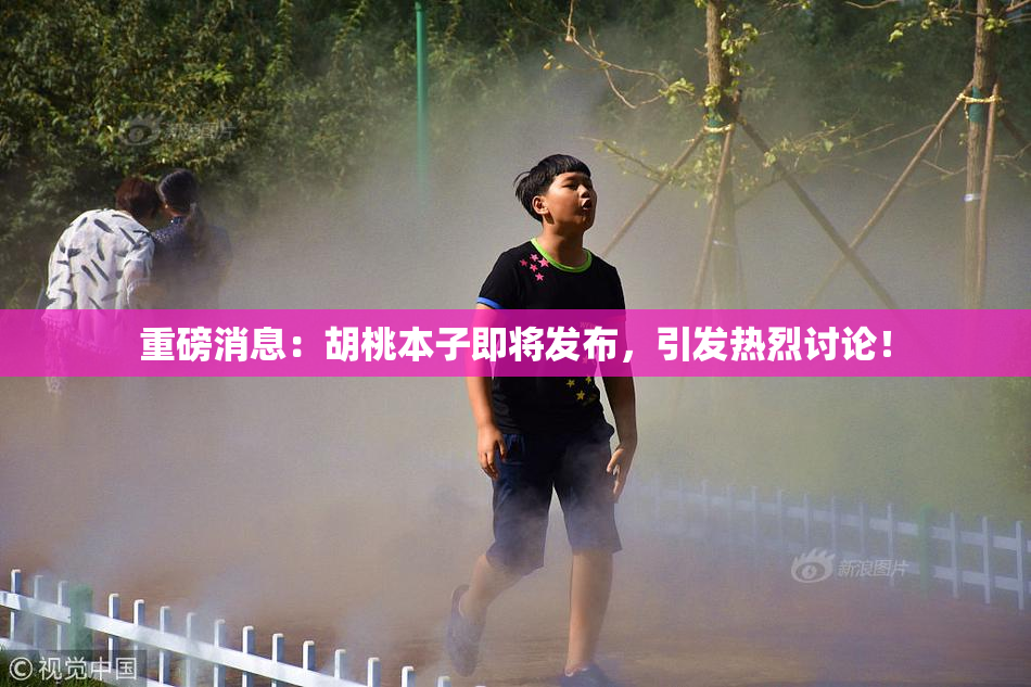 重磅消息：胡桃本子即将发布，引发热烈讨论！