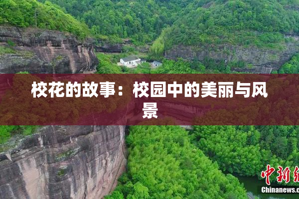 校花的故事：校园中的美丽与风景
