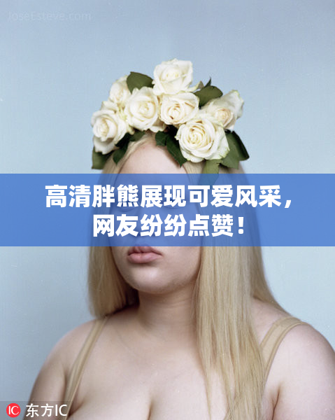 高清胖熊展现可爱风采，网友纷纷点赞！