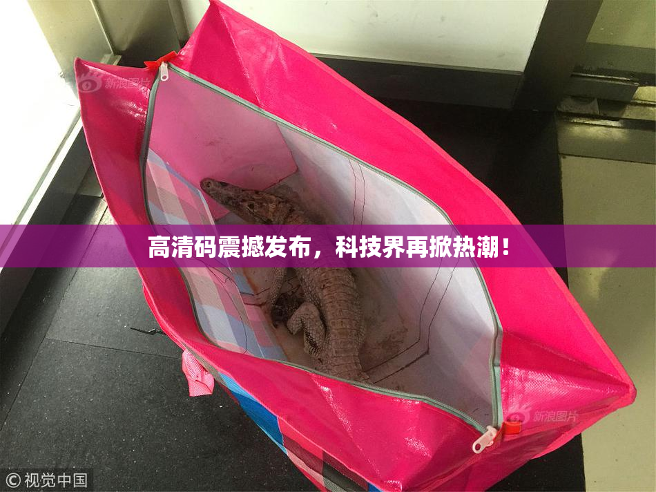 高清码震撼发布，科技界再掀热潮！