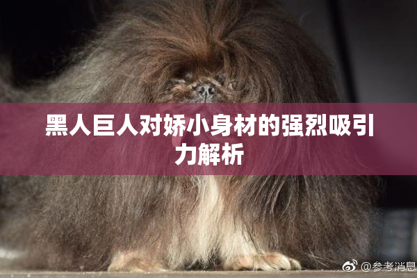 黑人巨人对娇小身材的强烈吸引力解析