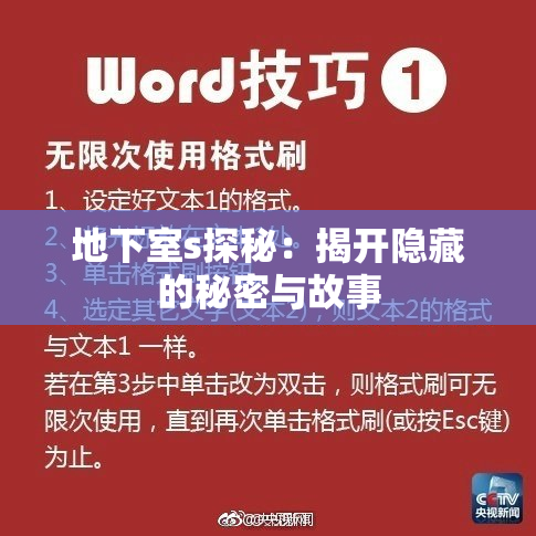 地下室s探秘：揭开隐藏的秘密与故事