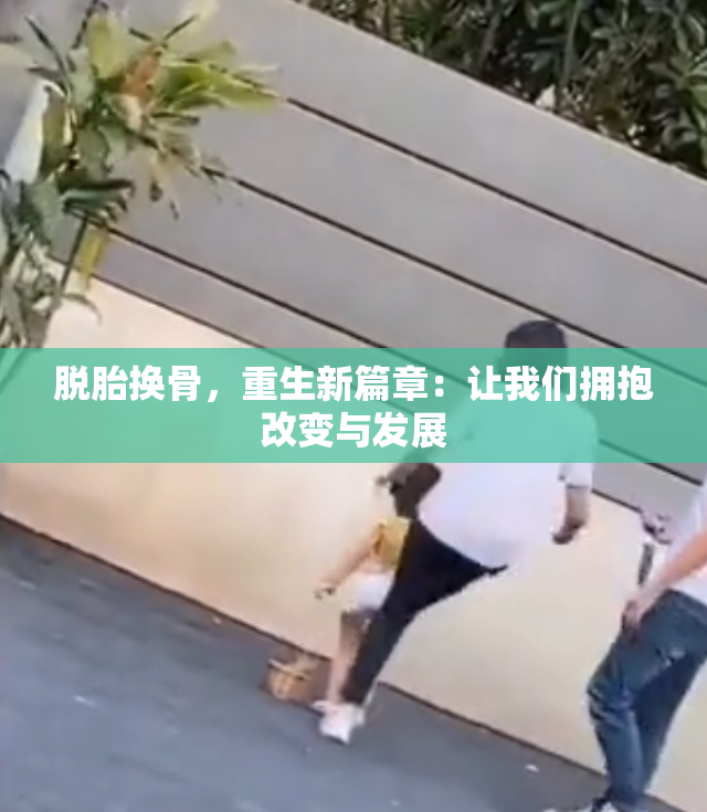 脱胎换骨，重生新篇章：让我们拥抱改变与发展