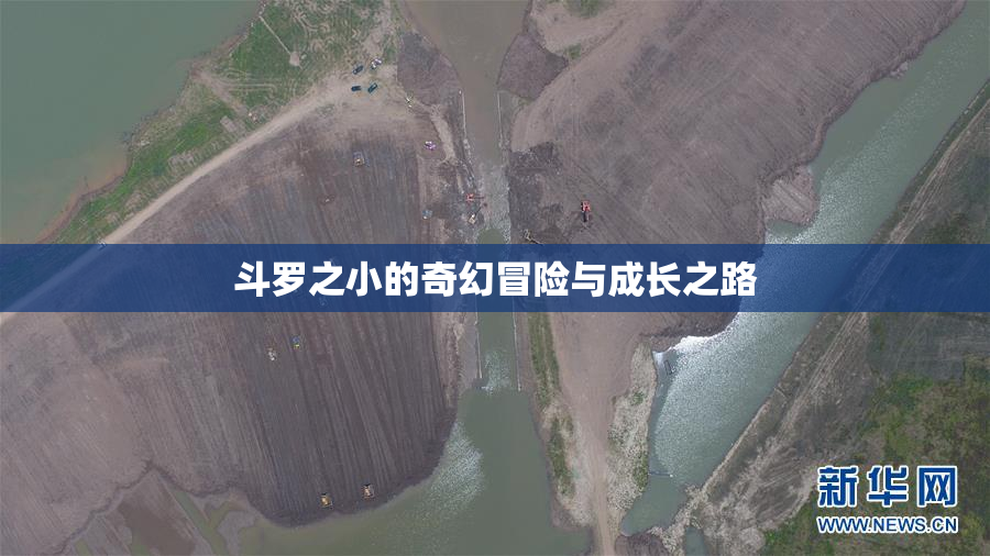 斗罗之小的奇幻冒险与成长之路
