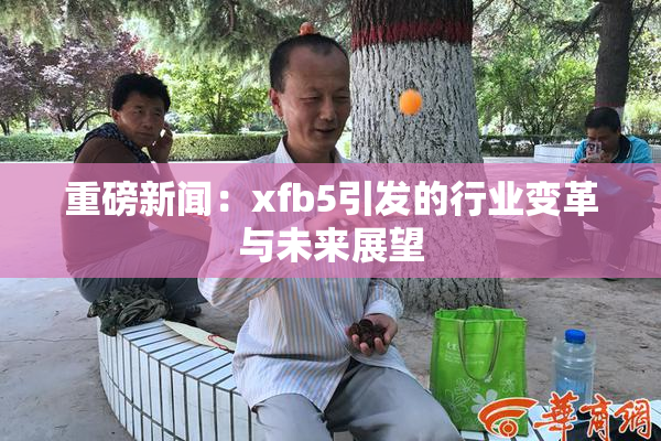 重磅新闻：xfb5引发的行业变革与未来展望