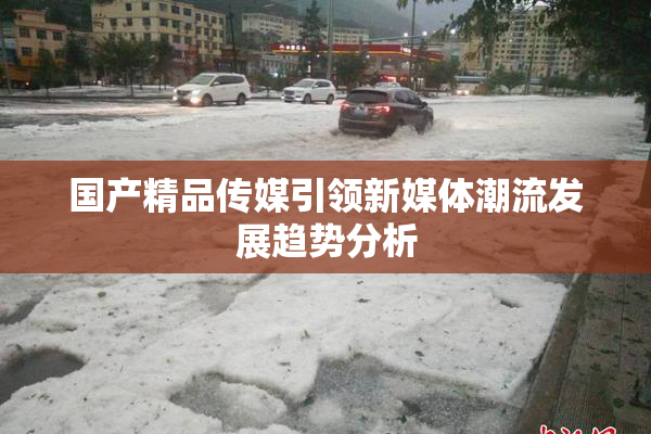 国产精品传媒引领新媒体潮流发展趋势分析