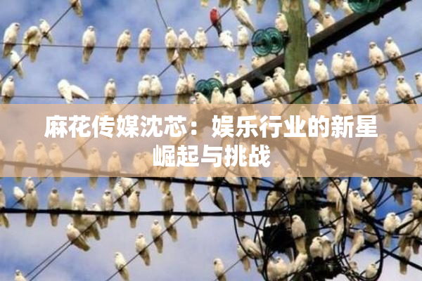 麻花传媒沈芯：娱乐行业的新星崛起与挑战