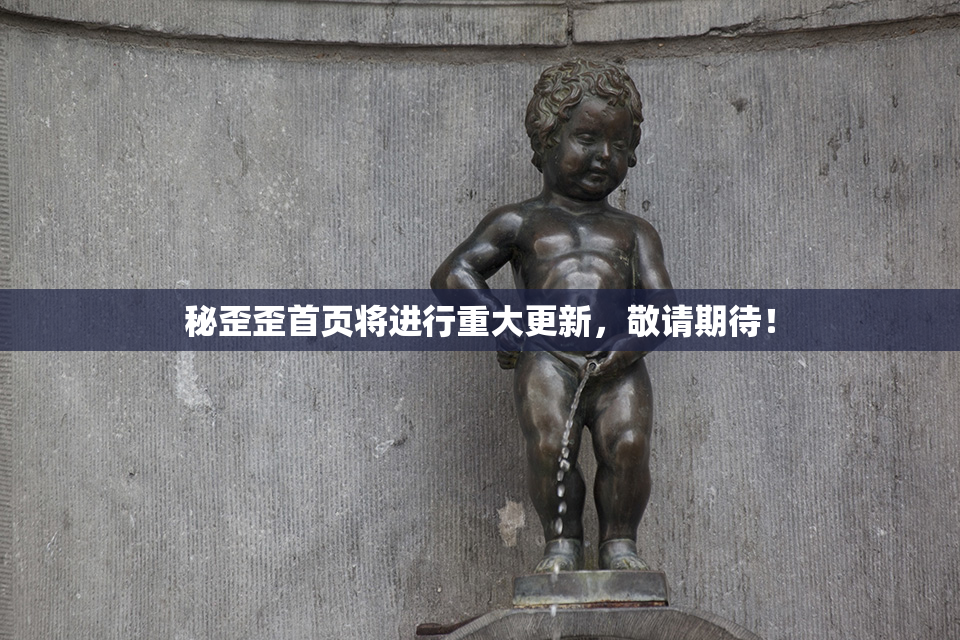 秘歪歪首页将进行重大更新，敬请期待！