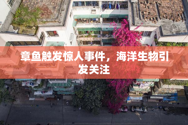 章鱼触发惊人事件，海洋生物引发关注