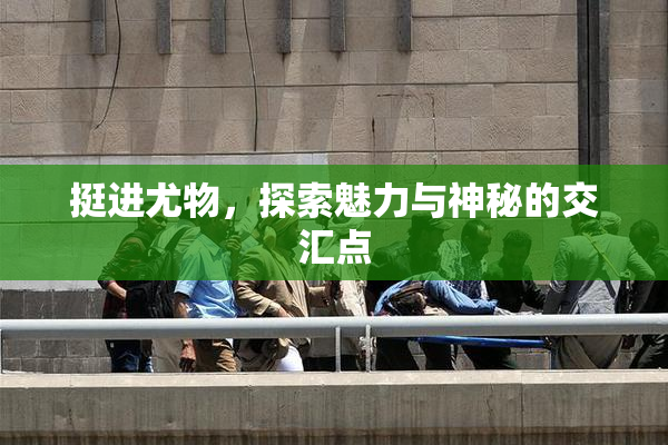 挺进尤物，探索魅力与神秘的交汇点