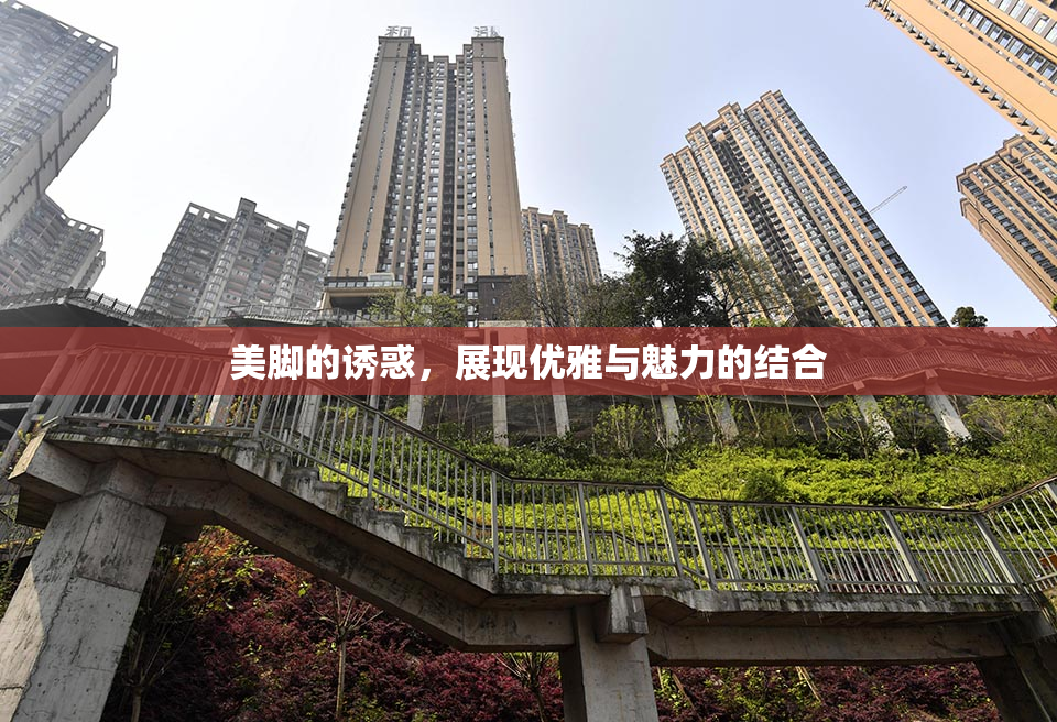 美脚的诱惑，展现优雅与魅力的结合