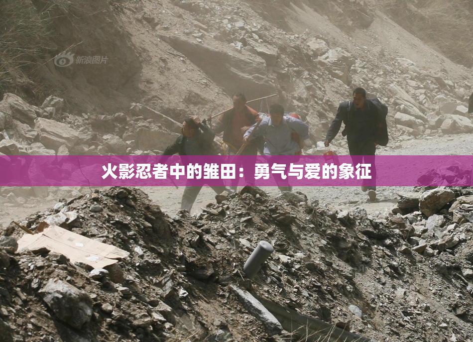 火影忍者中的雏田：勇气与爱的象征